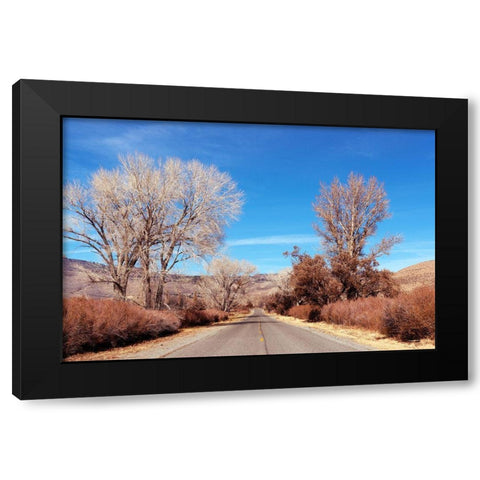 Road in California Black Modern Wood Framed Art Print by Highsmith, Carol