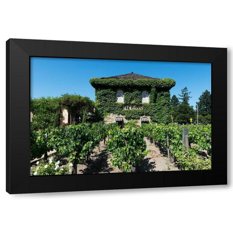 California Vineyards Black Modern Wood Framed Art Print with Double Matting by Highsmith, Carol