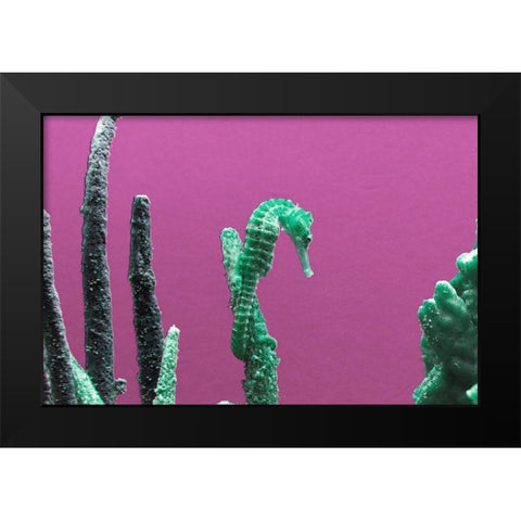 Seahorse at The Monterey Bay Aquarium in Monterey-California Black Modern Wood Framed Art Print by Highsmith, Carol