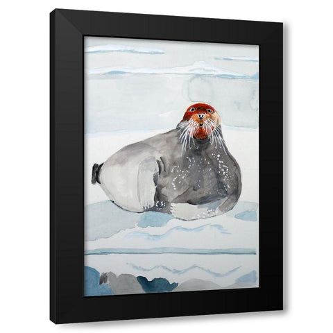 Bearded Seal Black Modern Wood Framed Art Print with Double Matting by Derr, Wynn