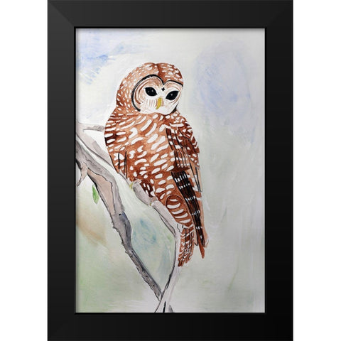 Northern Spotted Owl Black Modern Wood Framed Art Print by Derr, Wynn