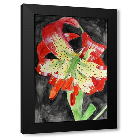 Western Lily Black Modern Wood Framed Art Print with Double Matting by Derr, Wynn