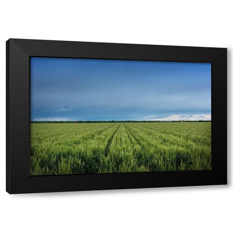 Rural Otero County-Colorado Black Modern Wood Framed Art Print with Double Matting by Highsmith, Carol