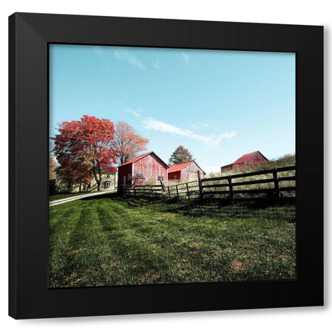 Grouping of small barns in Monroe County Black Modern Wood Framed Art Print with Double Matting by Highsmith, Carol