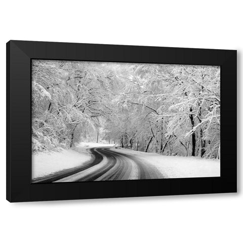 Rock Creek Park-Washington-D.C. Black Modern Wood Framed Art Print by Highsmith, Carol