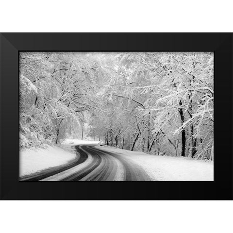 Rock Creek Park-Washington-D.C. Black Modern Wood Framed Art Print by Highsmith, Carol