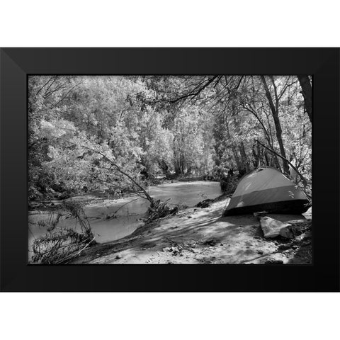 Havasu Creek Campground-Grand Canyon National Park Black Modern Wood Framed Art Print by Highsmith, Carol