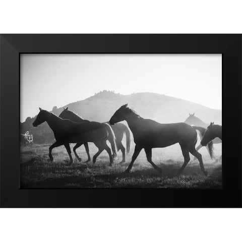 Horses head for the Corral-Riverside-Wyoming Black Modern Wood Framed Art Print by Highsmith, Carol