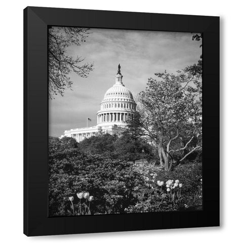 Capitol Hill-Washington D.C. Black Modern Wood Framed Art Print by Highsmith, Carol
