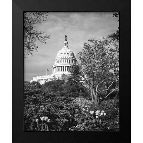 Capitol Hill-Washington D.C. Black Modern Wood Framed Art Print by Highsmith, Carol