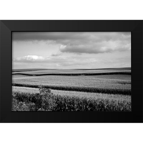 Rural Wisconsin Black Modern Wood Framed Art Print by Highsmith, Carol