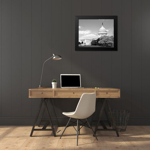 Capitol Hill Washington D.C. in cherry blossom season Black Modern Wood Framed Art Print by Highsmith, Carol