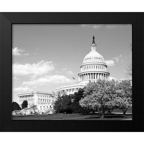 Capitol Hill Washington D.C. in cherry blossom season Black Modern Wood Framed Art Print by Highsmith, Carol