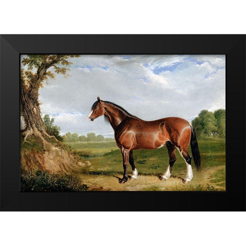 A Clydesdale Stallion Black Modern Wood Framed Art Print by Herring, John Frederick