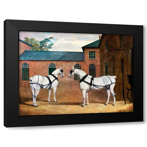 Grey carriage horses in the coachyard at Putteridge Bury-Hertfordshire Black Modern Wood Framed Art Print with Double Matting by Herring, John Frederick