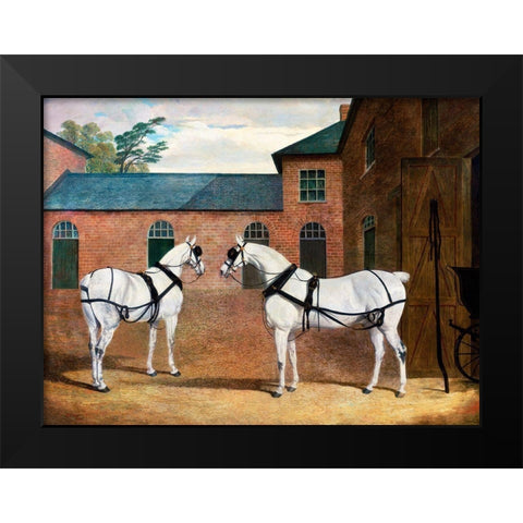 Grey carriage horses in the coachyard at Putteridge Bury-Hertfordshire Black Modern Wood Framed Art Print by Herring, John Frederick