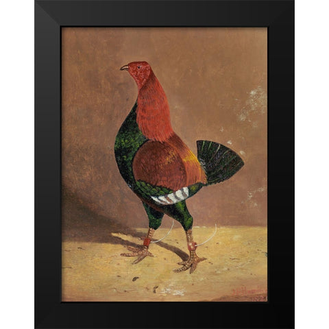 Fighting Cocks-a Dark-Breasted Fighting Cock-Facing Left Black Modern Wood Framed Art Print by Herring, John Frederick