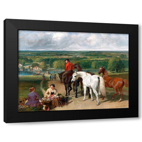 Exercising the Royal Horses Black Modern Wood Framed Art Print by Herring, John Frederick