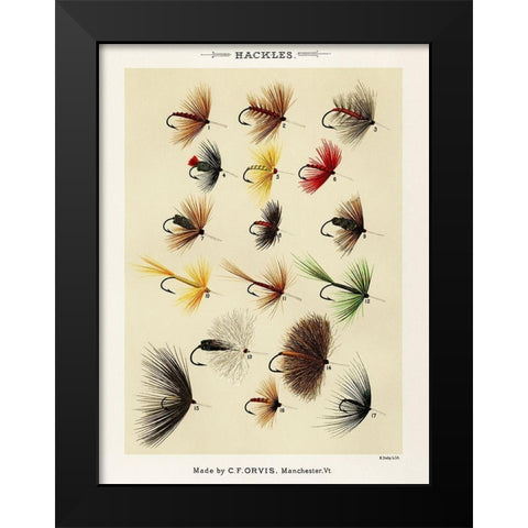 Hackles from Favorite Flies and Their Histories Black Modern Wood Framed Art Print by Marbury, Mary Orvis