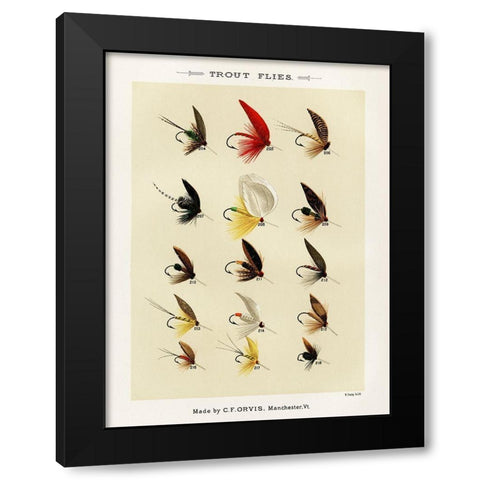 Trout Fishing Flies IV from Favorite Flies and Their Histories Black Modern Wood Framed Art Print with Double Matting by Marbury, Mary Orvis