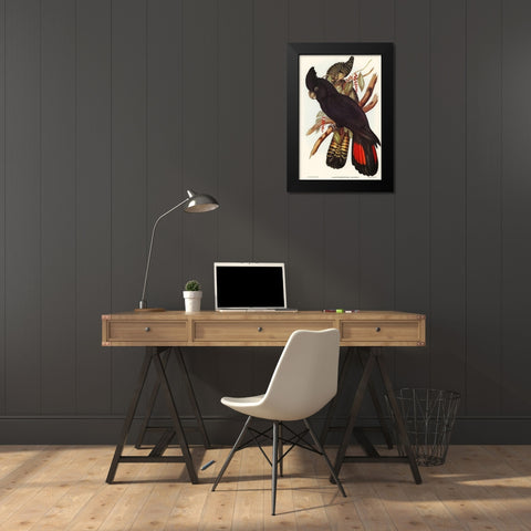 Banksian Cockatoo-Calyptorhynchus Banksii Black Modern Wood Framed Art Print by Gould, John