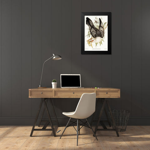 Channel Bill Cuckoo-Scythrops Novae-Hollandiae Black Modern Wood Framed Art Print by Gould, John