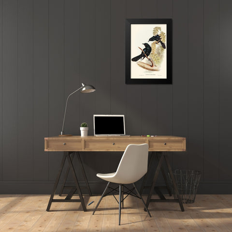 Keraudrens Crow-Shrike-Manucodia Keraudreni Black Modern Wood Framed Art Print by Gould, John