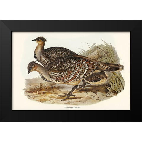 Ocellated Leipoa-Leipoa ocellata Black Modern Wood Framed Art Print by Gould, John