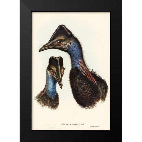 Bennetts Cassowary-Casuarius Bennetti Black Modern Wood Framed Art Print by Gould, John
