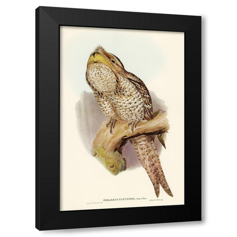 Papuan Podargus-Podargus Papuensis Black Modern Wood Framed Art Print by Gould, John