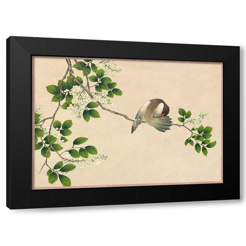 Preening Bird Black Modern Wood Framed Art Print with Double Matting by Ruoai, Zhang
