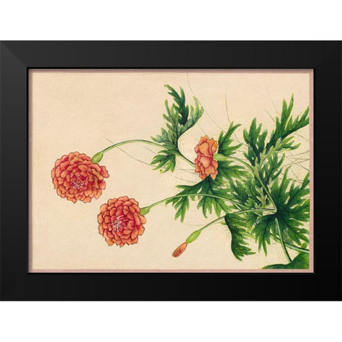 Peony Black Modern Wood Framed Art Print by Ruoai, Zhang