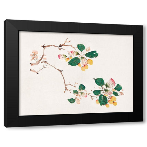 Page from Shi Zhu Zhai Golden Fruit Black Modern Wood Framed Art Print by Zhengyan, Hu