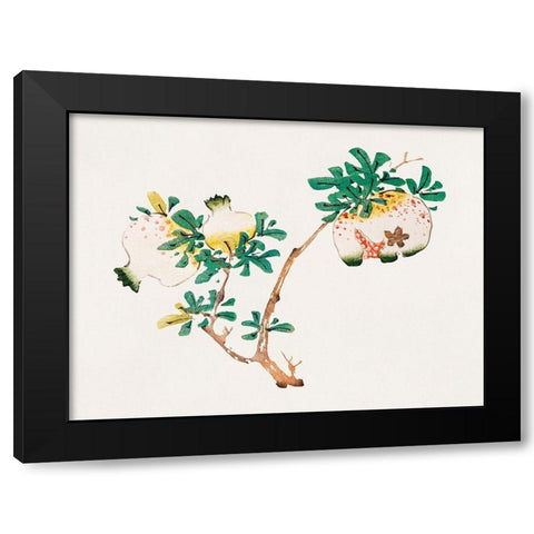 Page from Shi Zhu Zhai Pomegranite Black Modern Wood Framed Art Print by Zhengyan, Hu