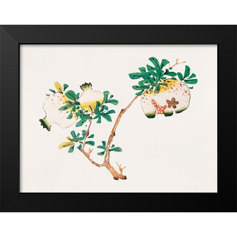 Page from Shi Zhu Zhai Pomegranite Black Modern Wood Framed Art Print by Zhengyan, Hu