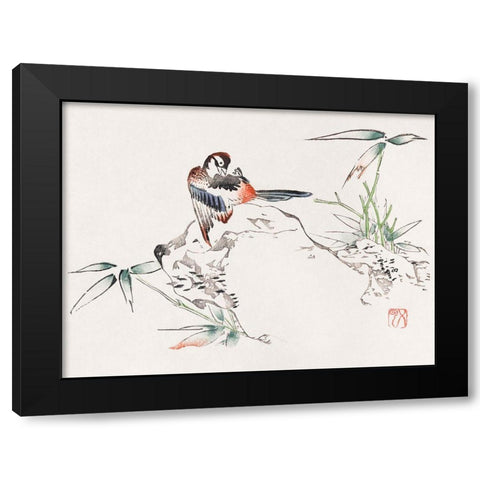 Page from Shi Zhu Zhai Bird on Rock Black Modern Wood Framed Art Print by Zhengyan, Hu