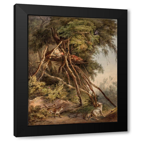Tombs of Assiniboin indians on trees Black Modern Wood Framed Art Print with Double Matting by Bodmer, Karl