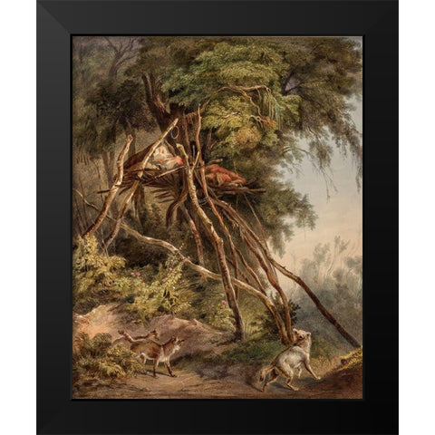 Tombs of Assiniboin indians on trees Black Modern Wood Framed Art Print by Bodmer, Karl