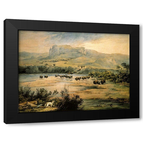 Landscape with buffalo on the upper Missouri Black Modern Wood Framed Art Print by Bodmer, Karl