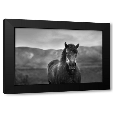 Gray Day Black Modern Wood Framed Art Print with Double Matting by The Yellowstone Collection