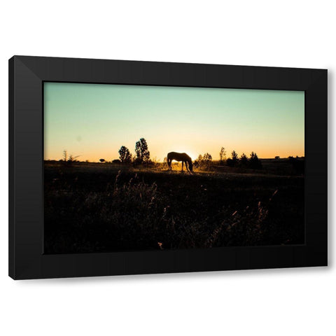 Grazing at Sunset Black Modern Wood Framed Art Print with Double Matting by The Yellowstone Collection