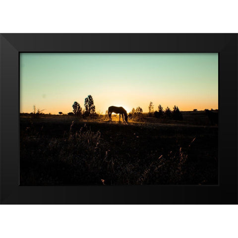 Grazing at Sunset Black Modern Wood Framed Art Print by The Yellowstone Collection