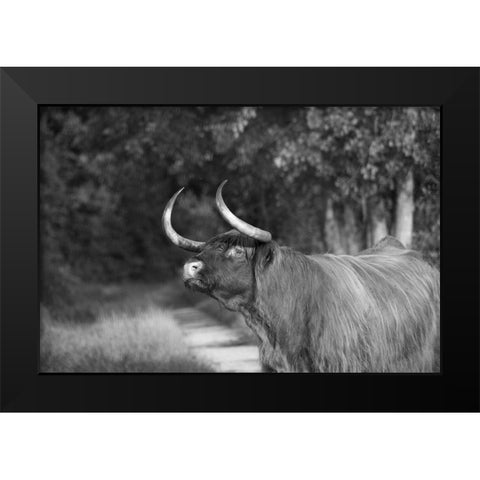 Heads Up Black Modern Wood Framed Art Print by The Yellowstone Collection