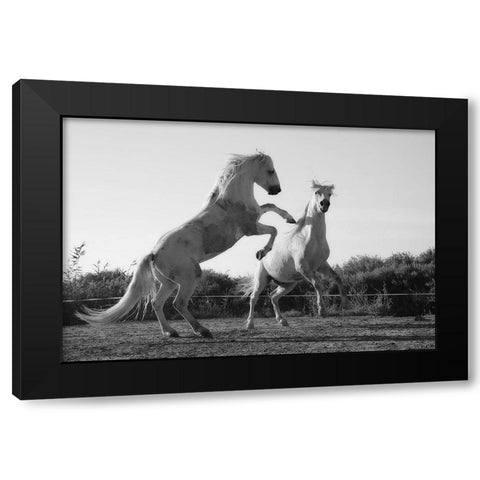 Horse Dance Black Modern Wood Framed Art Print by The Yellowstone Collection