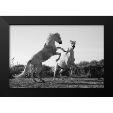 Horse Dance Black Modern Wood Framed Art Print by The Yellowstone Collection