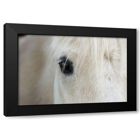 Horse Eye Black Modern Wood Framed Art Print by The Yellowstone Collection