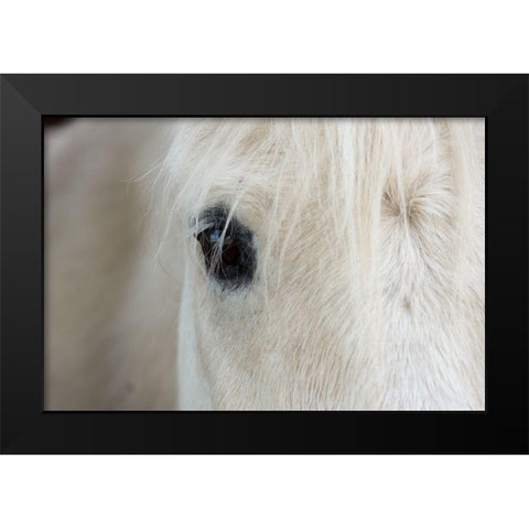 Horse Eye Black Modern Wood Framed Art Print by The Yellowstone Collection