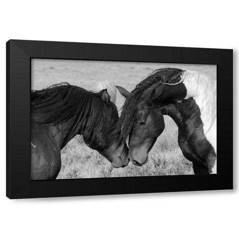 Horse Kiss Black Modern Wood Framed Art Print by The Yellowstone Collection