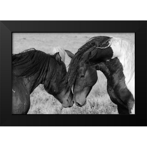 Horse Kiss Black Modern Wood Framed Art Print by The Yellowstone Collection
