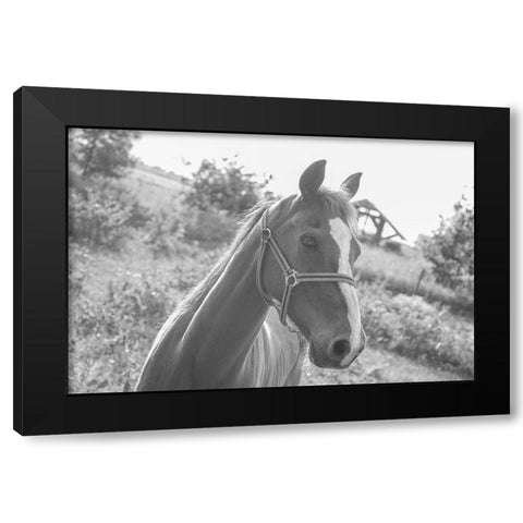 Howdy Black Modern Wood Framed Art Print by The Yellowstone Collection